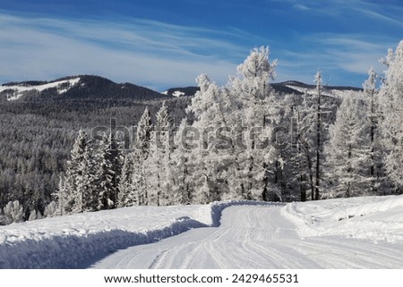 A winter road in the Altai mountains and frost-covered trees along it. Gorny Altai, Russia
