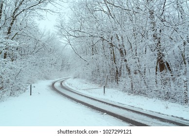 Winter road in the forest