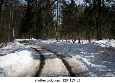 winter road in forest