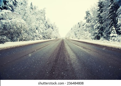 Winter Road And Forest 