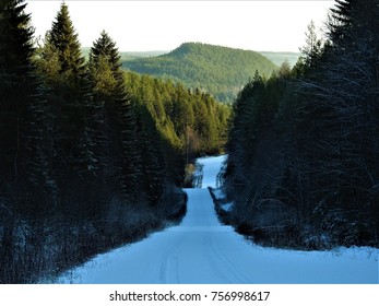 winter road in the forest 