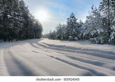 Winter road on snow-covered forest.