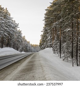 Winter road in pine forest