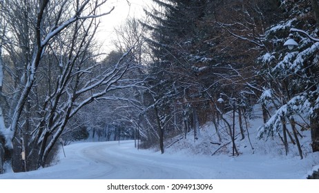 Winter Road - Quaking Bog