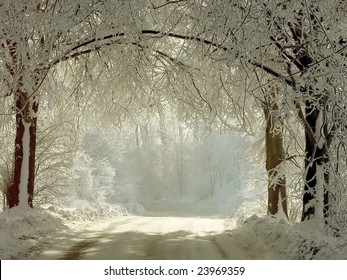 Winter Road Running Between The Frozen Trees. Magic Rays Of The Sun Fall On The Branches Of Trees.