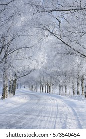 Winter, Road, Snow, Cold, Frost, Ice, Trees