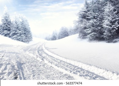 Winter Road And Snow With Frost 