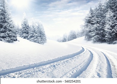 Winter Road And Snow With Landscape Of Trees With Frost 