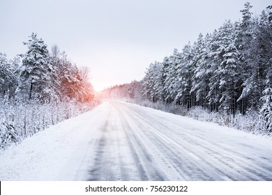 Winter Road Through The Forest