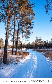 winter road through a pine forest, vertical photo