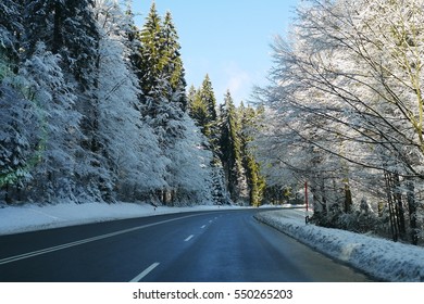 The Winter Road View with Pine Trees in Snow Covered, Germany, Europe