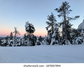 Winter In Rukatunturi, Northern Finland