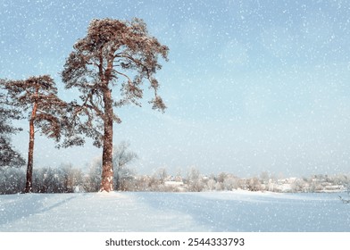 Winter rural landscape, forest pine trees and snowdrifts on the foreground and countryside area at the background, winter sunny landscape scene - Powered by Shutterstock