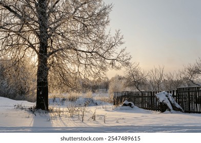 Winter rural landscape, winter nature in the countryside, frosty winter trees and wooden fence near the house lit by sunrise light - Powered by Shutterstock