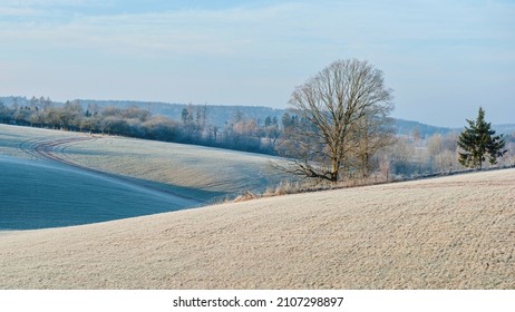 Winter rural scenery, Czech Republic