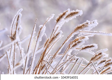 Winter In Saskatchewan