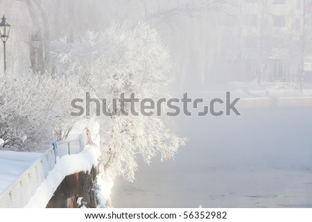 Winter scene