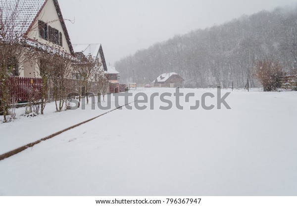 winter scene in backyard, snow covered\
street neighborhood