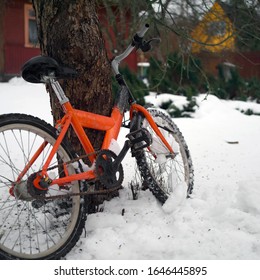 Winter scene with a bicycle  leaned against a tree in the foreground