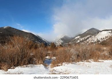 Winter scene in Colorado with blue sky, mountains and windblown snow.  Bare bushes, snow and ice in the foreground with white windblown snow in the higher elevations of Fall River Road. - Powered by Shutterstock