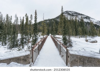 Winter scene of footbridge in pine forest with snow covered at Yoho national park, BC, Canada - Powered by Shutterstock