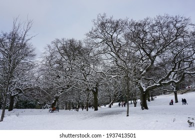 Winter Scene From The Kelvin Grove Park 