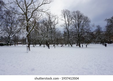 Winter Scene From The Kelvin Grove Park 