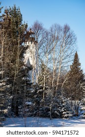 winter scene with lighthouse and pine trees.