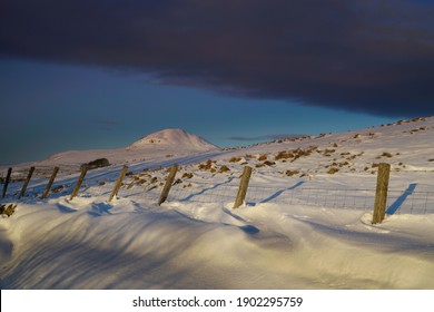 Winter Scene Of Lomond Hill, Fife, Scotland.