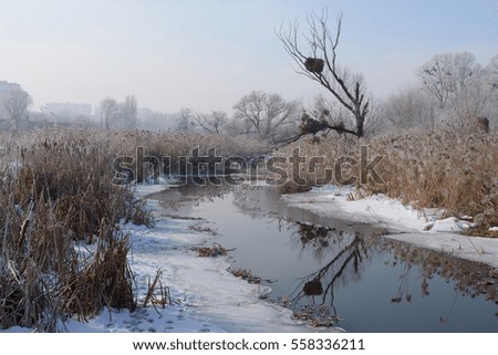 Similar – zeitlos | Himmelgrau Teich