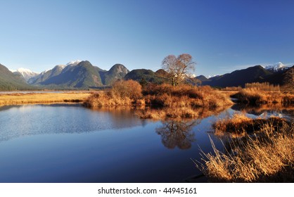 Winter Scene Of Pitt Lake In Maple Ridge