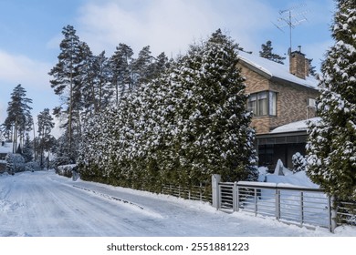 A winter scene showcasing a snow-covered street lined with tall evergreen trees. A cozy house stands nearby, reflecting the quiet beauty of a cold day. - Powered by Shutterstock