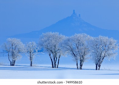 Winter Scene With Snow And Trees. Hazmburk Gothic Castle On Rocky Mountain, Hill Landscape In Ceske Stredohori, Czech Republic. Cold Nature With Ruin On Top Of The Hill.