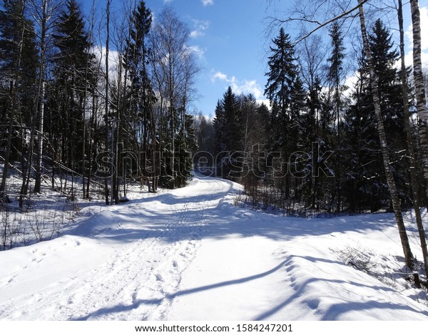 Winter scene with two\
paths to choose from