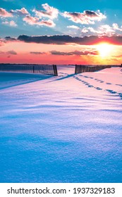 Winter Scene Under Color Sky At Sunset On Snow Covered Beach. Jones Beach State Park., Long Island NY