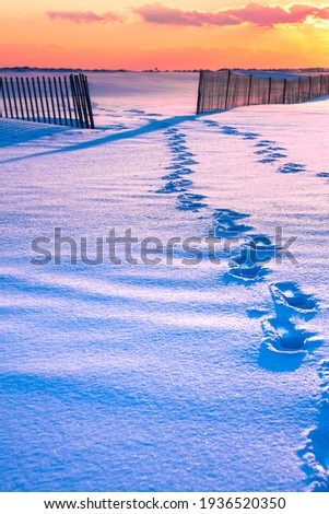 Similar – schneebedeckter Zaun Natur