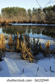 Winter Scene, Upstate New York