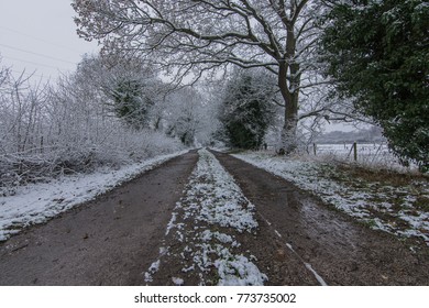 Winter Scene - Wirral Way Country Park