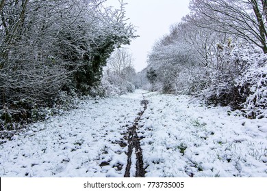 Winter Scene - Wirral Way Country Park