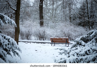 Winter Scene With A Wooden Bench In The Park