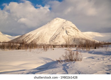 Winter Scenery In Alaska, A Popular Travel Destination In The United States. Winter Forest Covered By Snow.