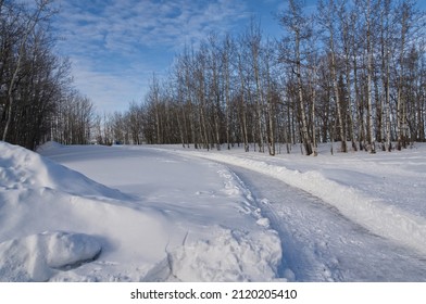 Winter Scenery At Elk Island National Park