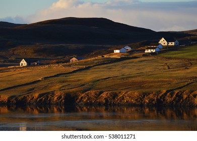 Winter scenery with houses on Shetland Islands