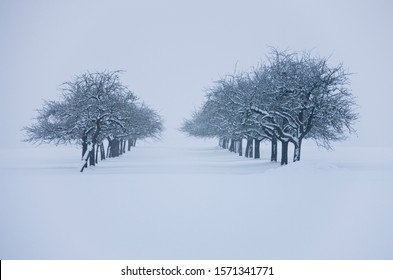 Winter Images – Browse 21,088,472 Stock Photos, Vectors, and Video