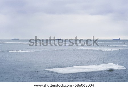Winter sea
