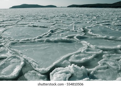 Winter Sea Ice