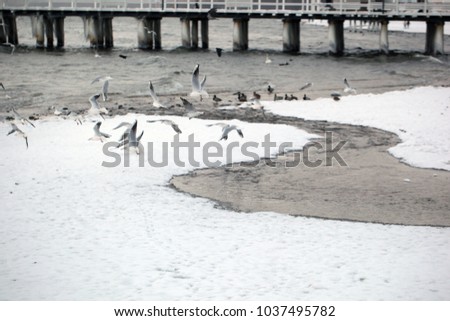 Similar – Image, Stock Photo Seabridge at the Baltic Sea coast in Rerik