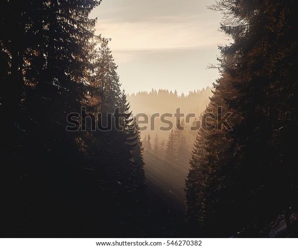 winter serene wallpaper landscapes stock photo edit now 546270382 shutterstock