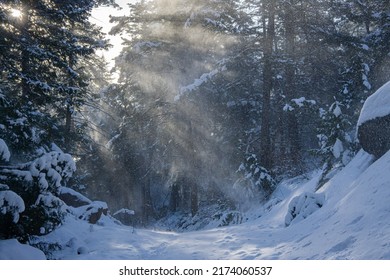 Winter In Shadow Canyon, Boulder, CO