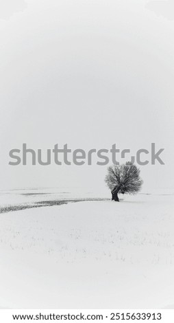 Similar – Image, Stock Photo be cold Environment Nature